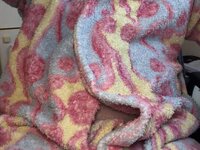 Fuck Videos and Pictures