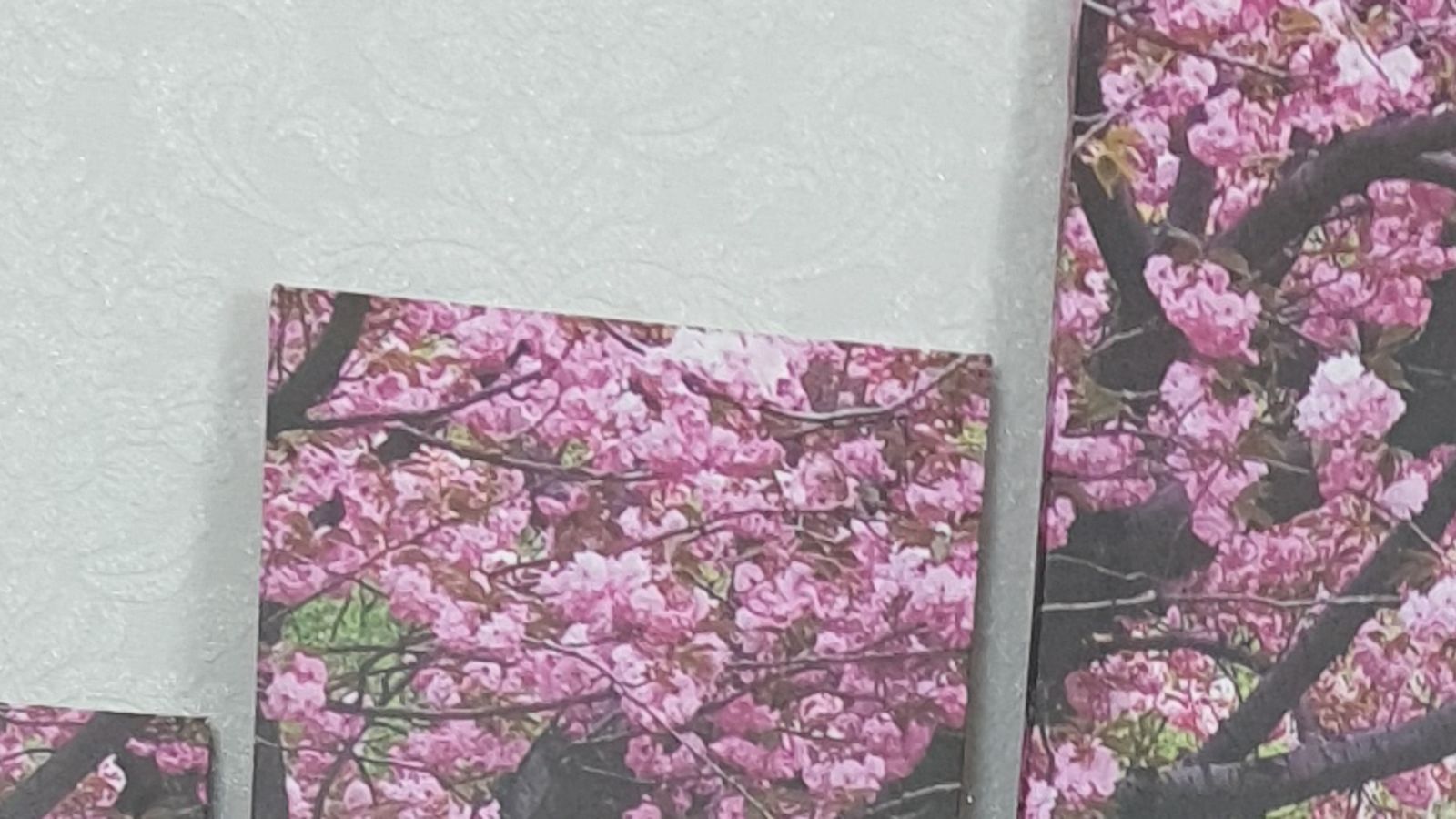 Fuck Videos and Pictures