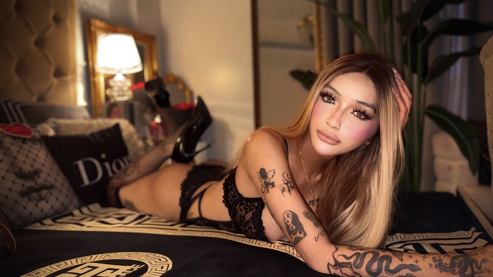 Fuck Videos and Pictures